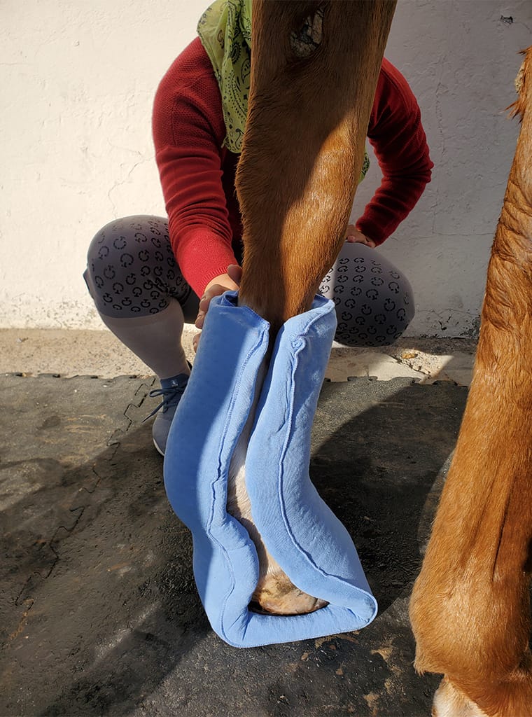 Leg splint Paniolo Online